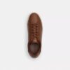 Bilekli Sneaker'lar