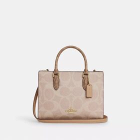 Blok Desenli Signature Canvas Maggie Küçük Tote Çantası