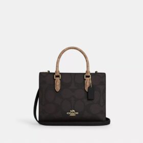 Blok Desenli Signature Canvas Maggie Küçük Tote Çantası