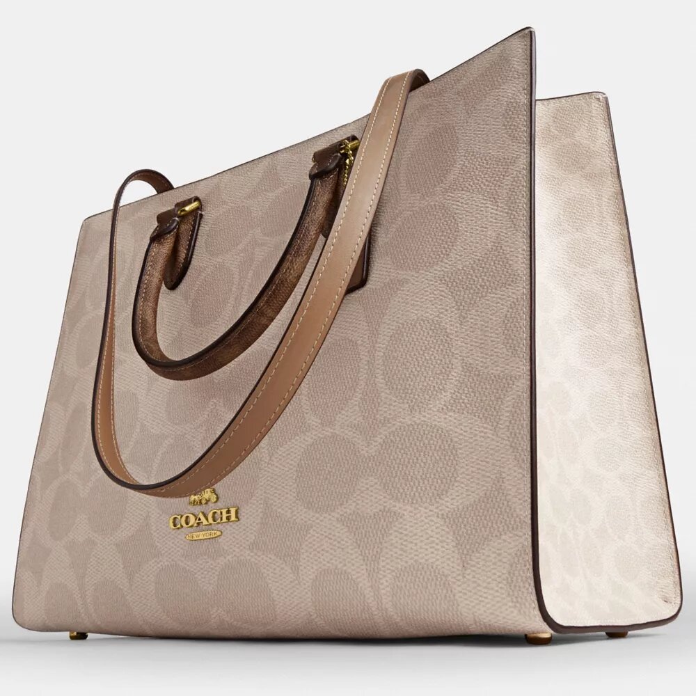 Bloklu Signature Canvas Maggie Tote Çantası