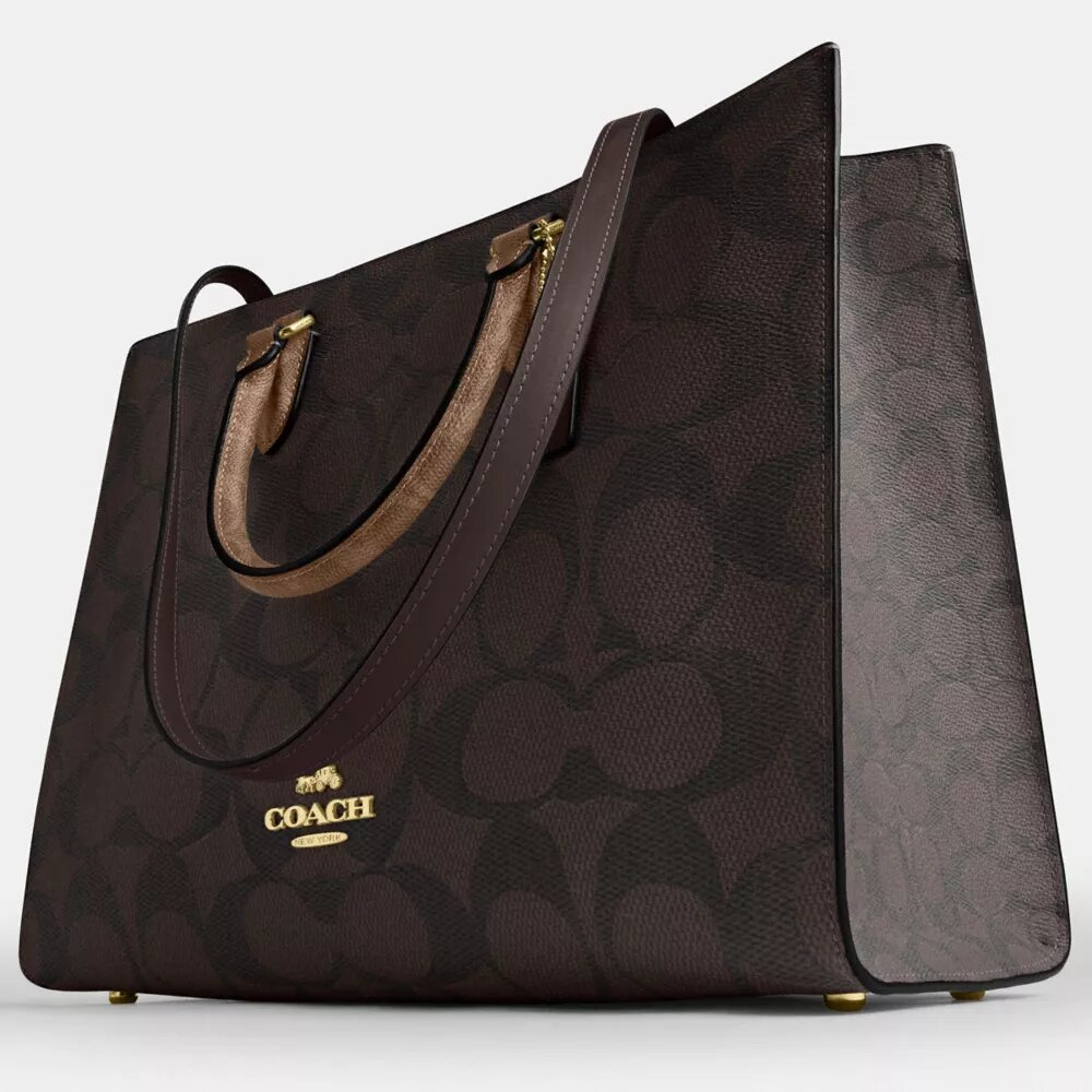 Bloklu Signature Canvas Maggie Tote Çantası