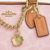 Charms Detaylı Signature Canvas Mini Rowan Çapraz Askılı Çanta