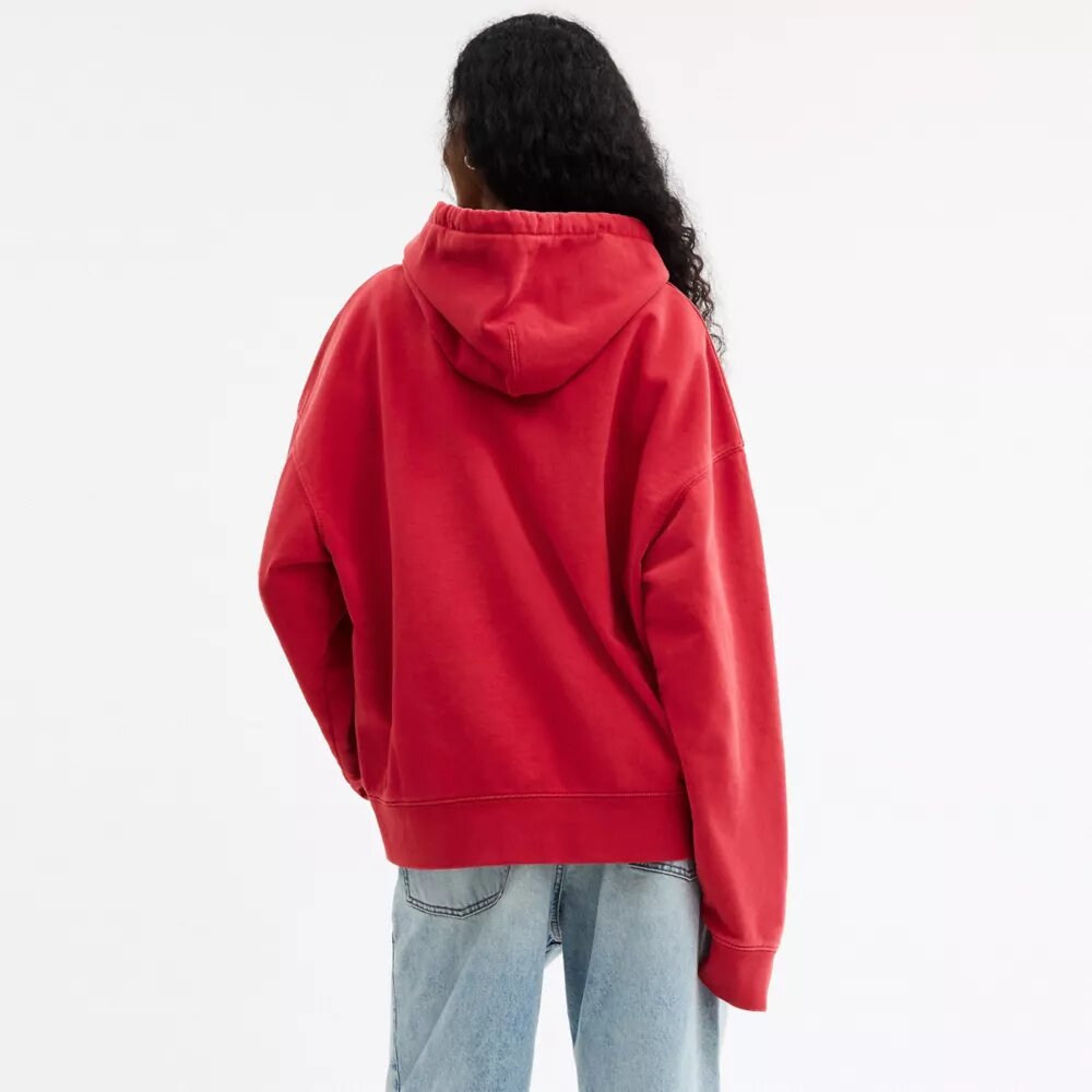 Horse and Carriage Kapüşonlu Sweatshirt