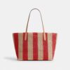 Çizgili ve Süslü Şehir Tote Çantası