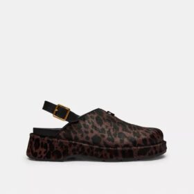 Leopar Desenli, Şekillendirilmiş C Platform Terlik