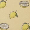 Limon Desenli Defter