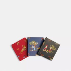 Mickey Mouse ve Arkadaşları ile Disney X Coach Mini Defter Seti