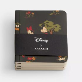 Mickey Mouse ve Arkadaşları ile Disney X Coach Mini Defter Seti