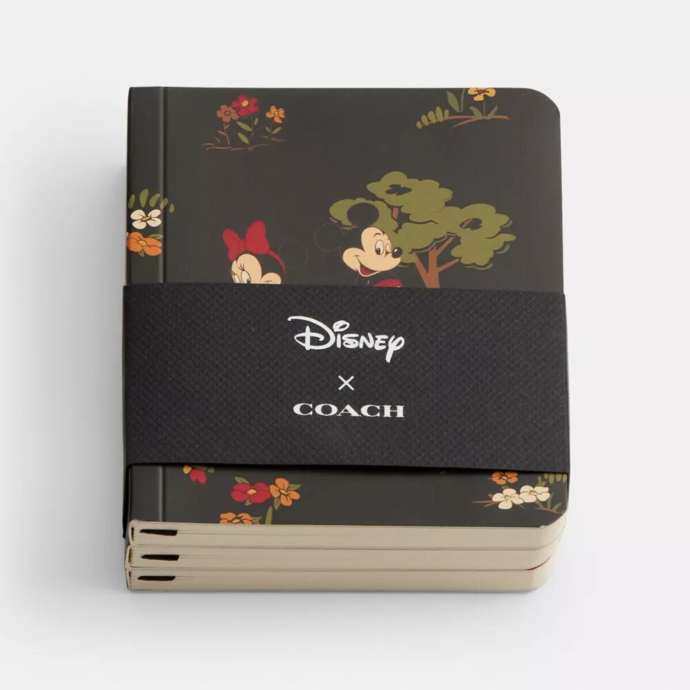 Mickey Mouse ve Arkadaşları ile Disney X Coach Mini Defter Seti