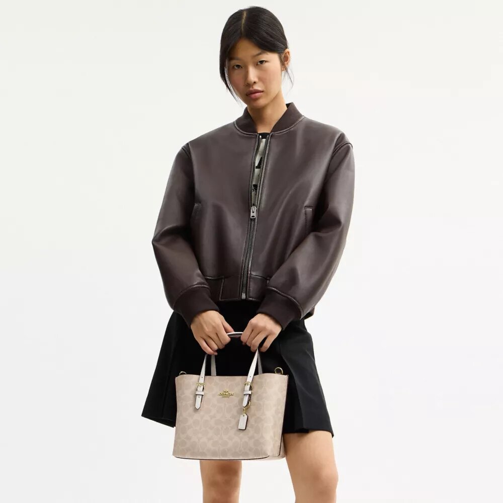 Mollie Tote Çantalar 25, Signature Canvas