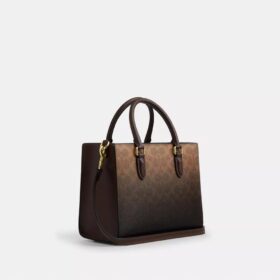 Ombre Signature Canvas’lı Maggie Küçük Tote Çantası