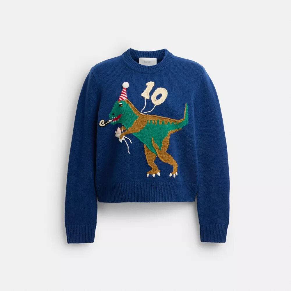 Rexy'nin 10. Yaş Günü Bisiklet Yaka Kazak