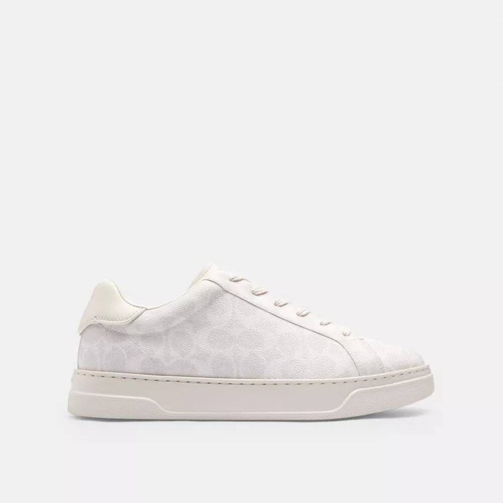 Signature Canvas Bilekli Sneaker'lar