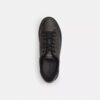 Signature Canvas Bilekli Sneaker'lar