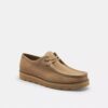 Signature Canvas Chukka Ayakkabı