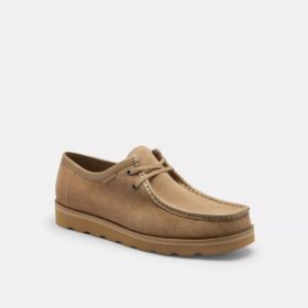 Signature Canvas Chukka Ayakkabı