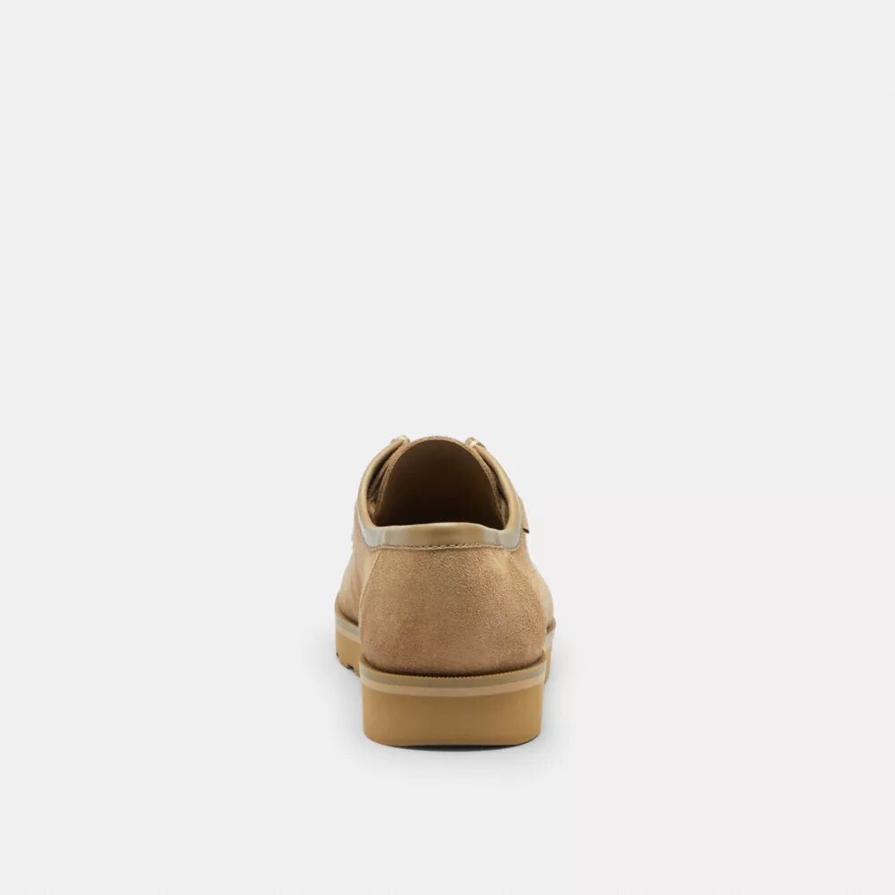 Signature Canvas Chukka Ayakkabı