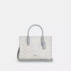 Signature Canvas Maggie Küçük Tote Çantası