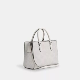 Signature Canvas Maggie Küçük Tote Çantası