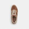 Signature Canvas Spor Sneaker'lar