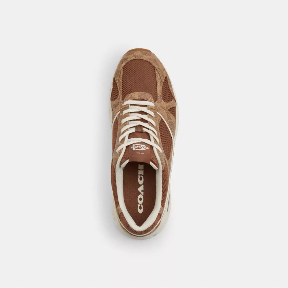 Signature Canvas Spor Sneaker'lar