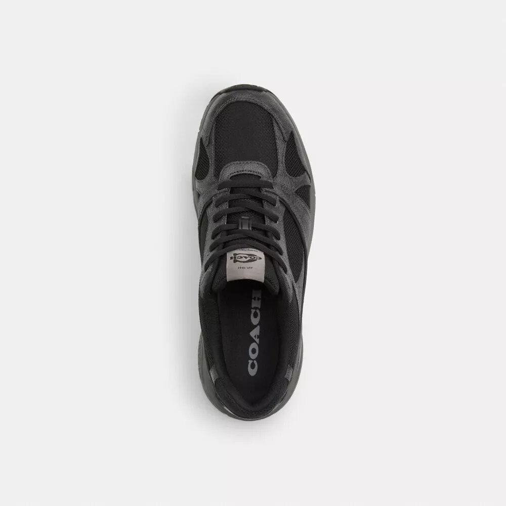 Signature Canvas Spor Sneaker'lar