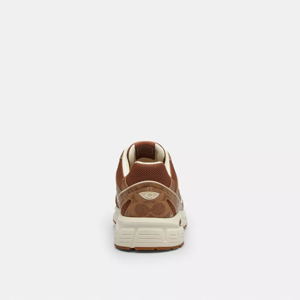 Signature Canvas Spor Sneaker'lar