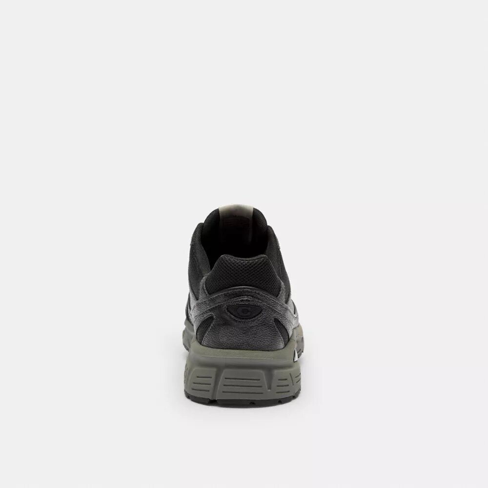 Signature Canvas Spor Sneaker'lar