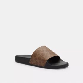 Signature Canvas Terlik