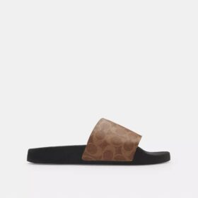 Signature Canvas Terlik