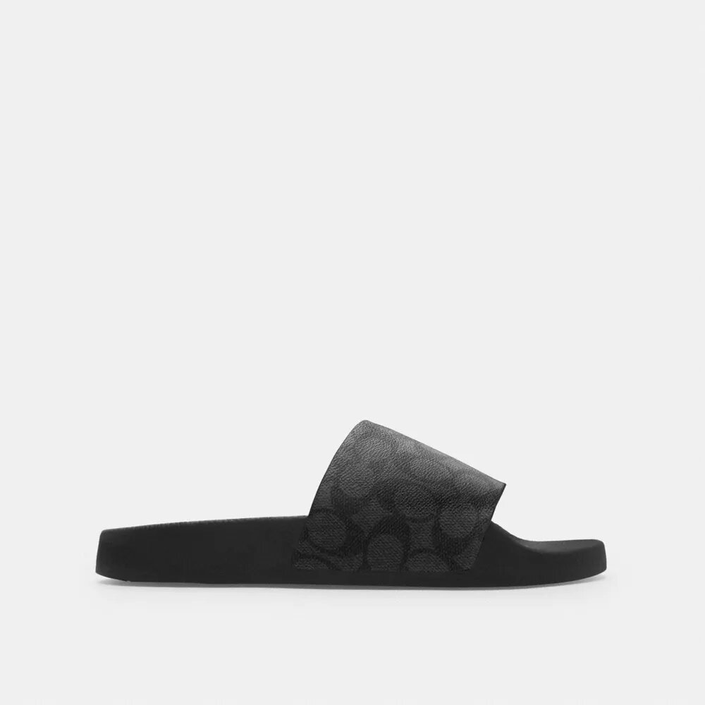 Signature Canvas Terlik