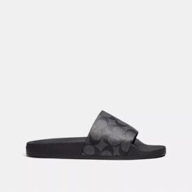 Signature Canvas Terlik