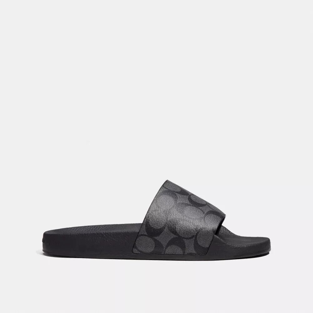 Signature Canvas Terlik