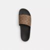 Signature Canvas Terlik