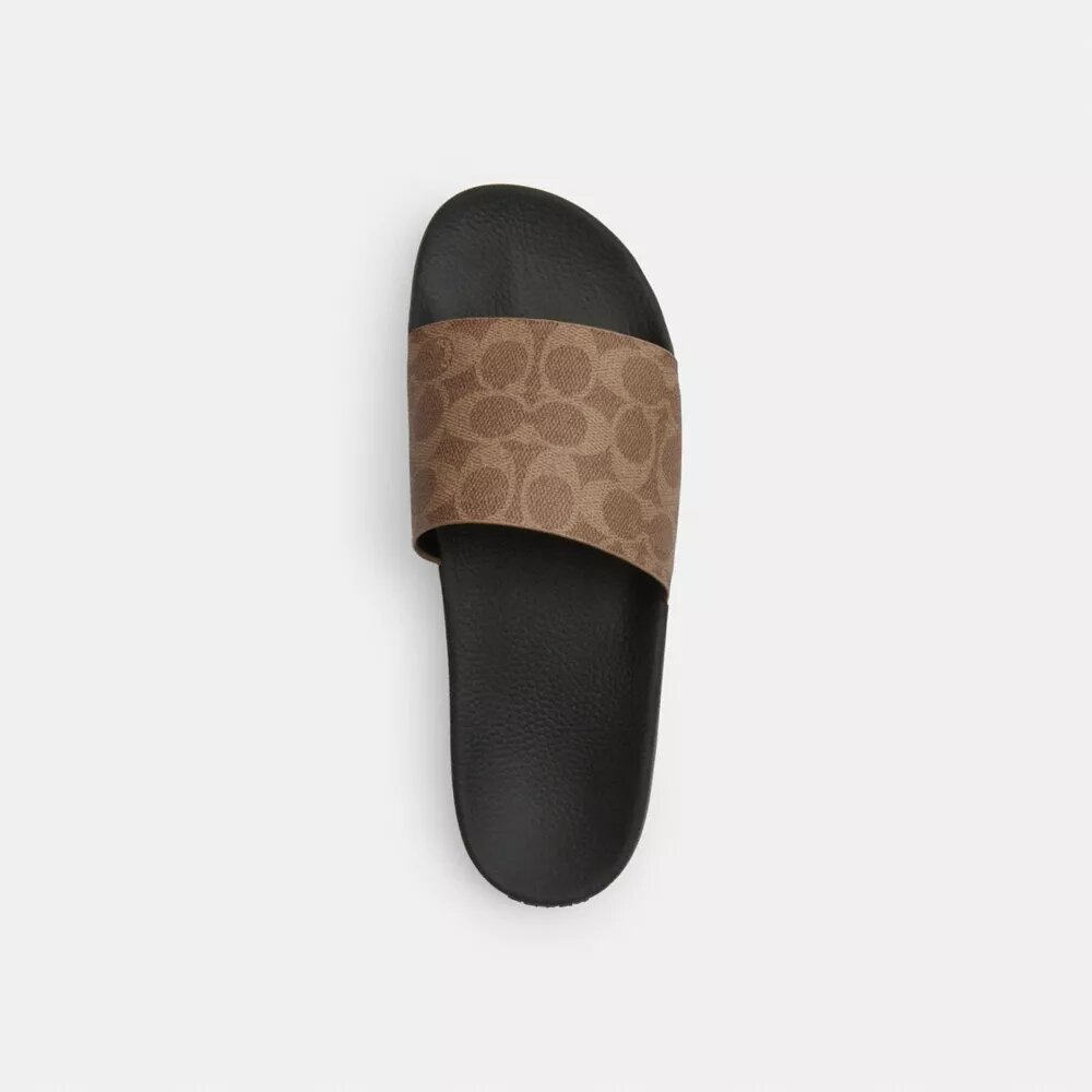 Signature Canvas Terlik