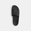 Signature Canvas Terlik