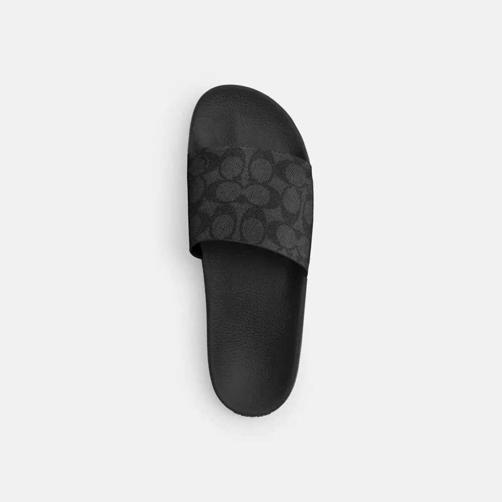 Signature Canvas Terlik