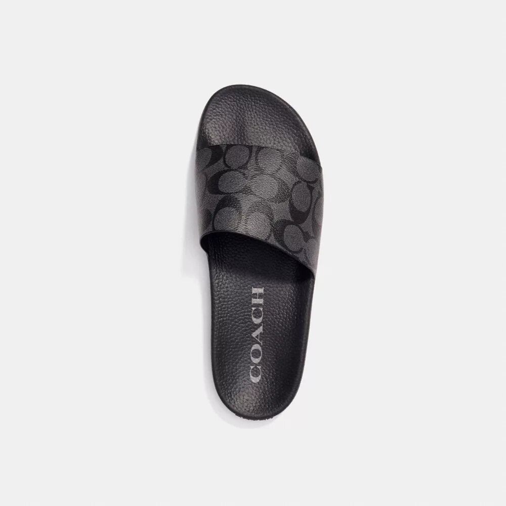 Signature Canvas Terlik