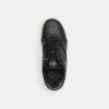 Signature Canvaslı Soho Sneaker'lar