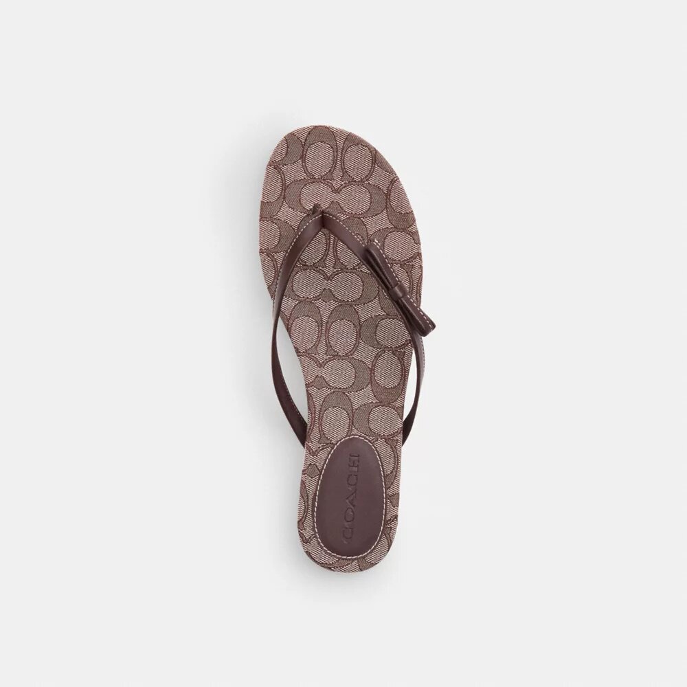 Signature Jacquard desenli Fiyonklu Terlikler giyiyor
