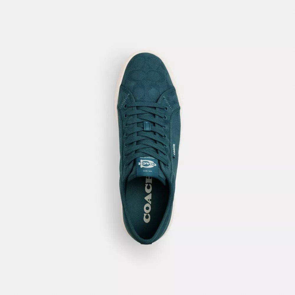 Signature Jakarlı Kanvas Sneaker'lar