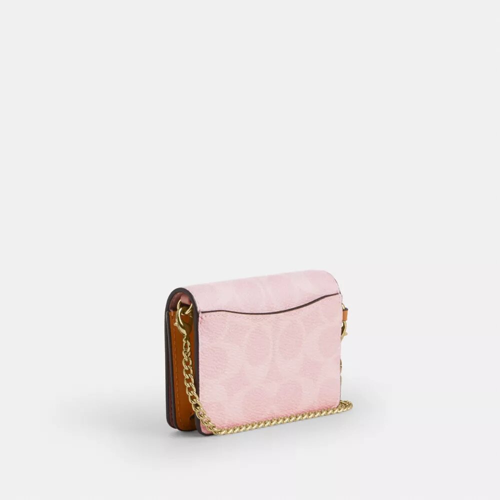 Süsler Detaylı, Signature Canvas Zincirli Mini Cüzdan