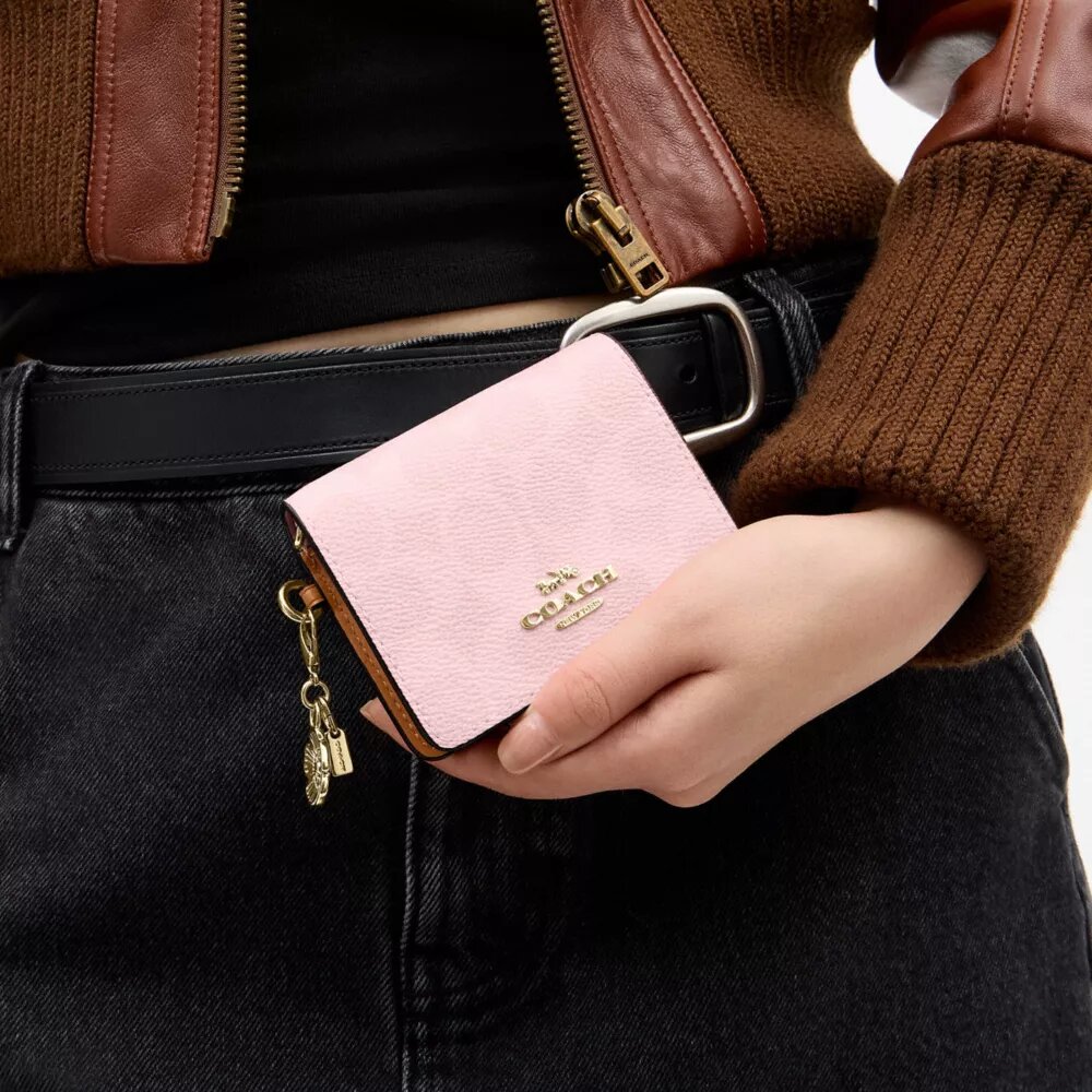 Süsler Detaylı, Signature Canvas Zincirli Mini Cüzdan