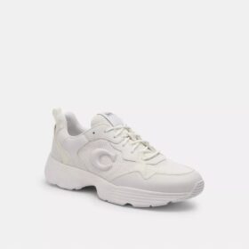 Strider Sneaker'lar, Signature Canvas