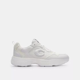 Strider Sneaker’lar, Signature Canvas