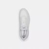 Strider Sneaker'lar, Signature Canvas