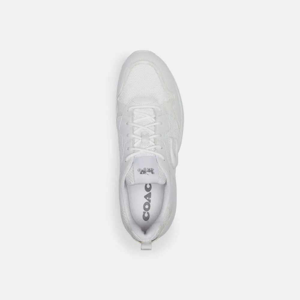 Strider Sneaker'lar, Signature Canvas