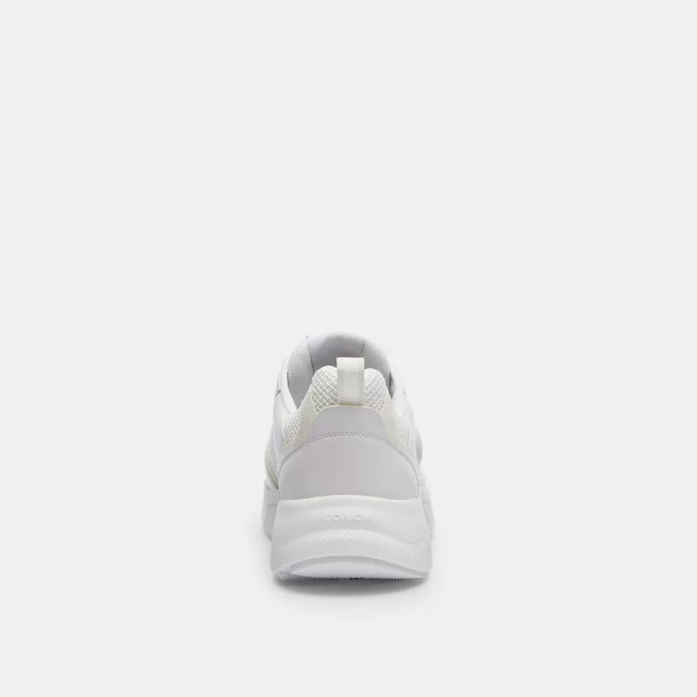 Strider Sneaker'lar, Signature Canvas
