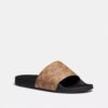 Udele Spor Terlikler, Signature Canvas
