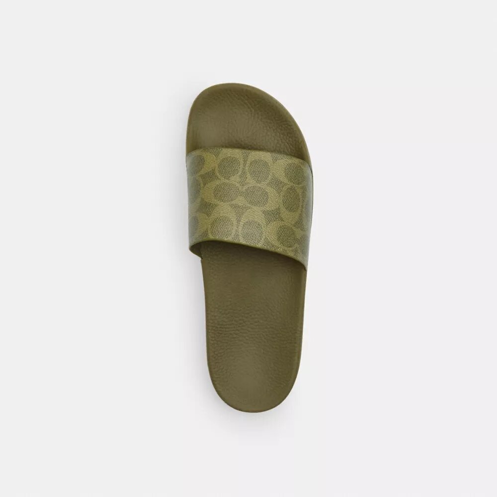 Udele Spor Terlikler, Signature Canvas